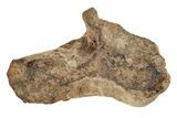 Agoudal Iron Meteorites (2-4 grams) - Morocco - Photo 2